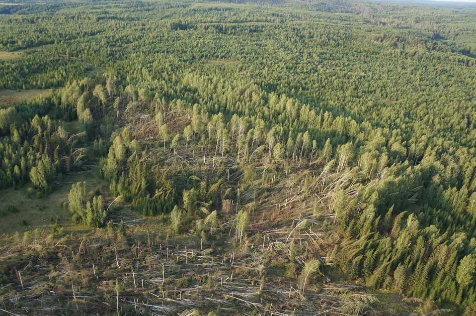 🌲Один день с лесниками.